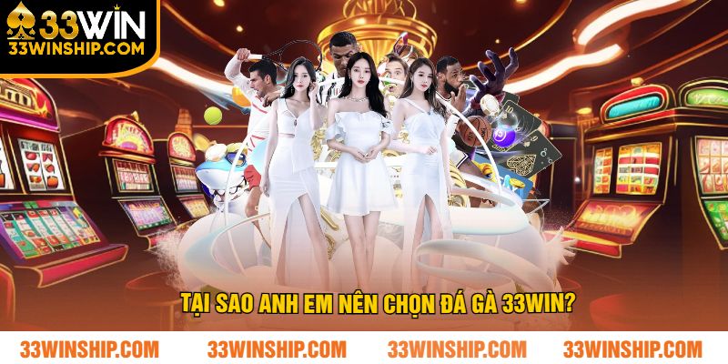 Tại Sao Anh Em Nên Chọn Đá Gà 33WIN?